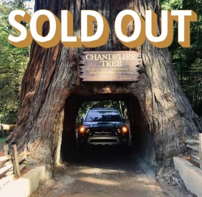 OREGON-CRATER LAKE-REDWOOD NATIONAL PARK-MCCLOUD FALLS-SUNDIAL BRIDGE LỄ  ĐỘC LẬP JULY 3-4-5, 2026 